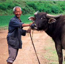 小型飼料顆粒機,農(nóng)民圓夢！